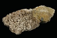 藏品(北投石 )的圖片