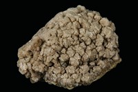 藏品(北投石 )的圖片