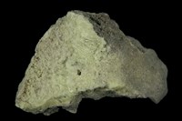 藏品(硫磺 )的圖片