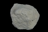 藏品(高嶺石)的圖片