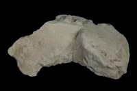 藏品(伊來石 )的圖片