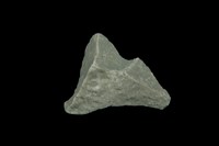 藏品(鈉海泡石 )的圖片