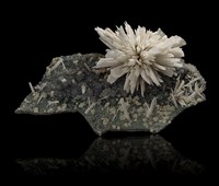 藏品(石英)的圖片