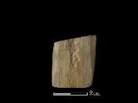 藏品(錛鑿形器)的圖片