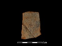 藏品(陶片)的圖片