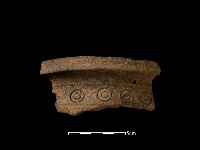 藏品(陶片)的圖片