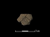 藏品(陶片)的圖片