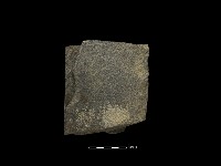 藏品(斧鋤形器)的圖片