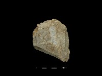 藏品(斧鋤形器)的圖片