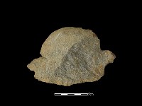 藏品(石片器)的圖片