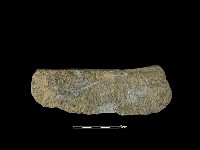 藏品(石片器)的圖片