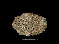 藏品(石片器)的圖片