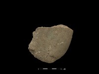 藏品(磨製斧鋤形器)的圖片