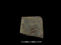 藏品(磨製斧鋤形器)的圖片