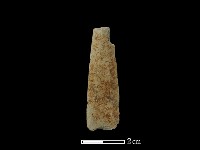 藏品(矛鏃形器)的圖片