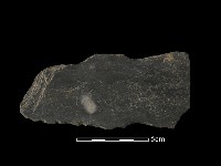 藏品(戈形器)的圖片