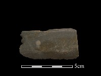 藏品(石刀)的圖片