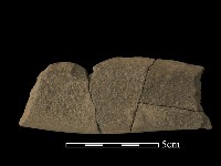 藏品(石鋸)的圖片