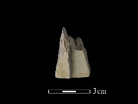 藏品(帶加工痕玉材)的圖片