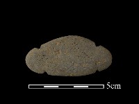 藏品(網墜)的圖片