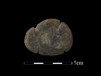 藏品(網墜)的圖片