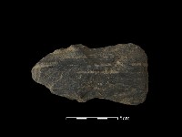 藏品(戈形器)的圖片