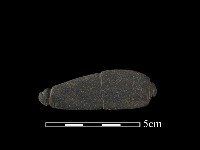 藏品(網墜)的圖片