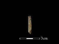 藏品(錛鑿形器)的圖片