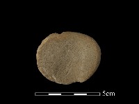 藏品(砥石)的圖片