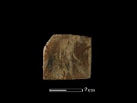 藏品(錛鑿形器)的圖片