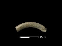 藏品(石環)的圖片