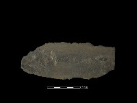 藏品(戈形器)的圖片