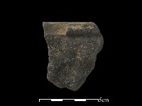 藏品(陶片)的圖片