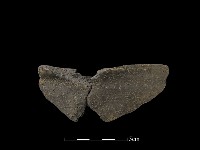 藏品(陶片)的圖片