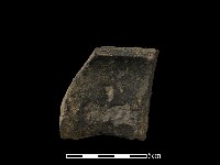 藏品(陶片)的圖片