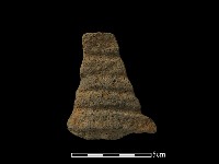 藏品(陶片)的圖片