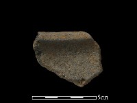 藏品(陶片)的圖片