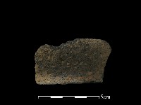 藏品(陶片)的圖片