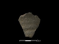 藏品(陶片)的圖片