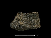 藏品(陶片)的圖片