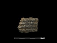 藏品(陶片)的圖片