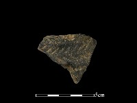 藏品(陶片)的圖片