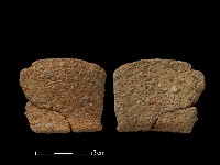 藏品(陶片)的圖片