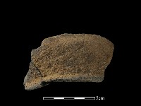 藏品(陶片)的圖片