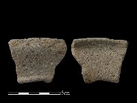 藏品(陶片)的圖片