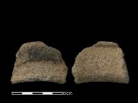 藏品(陶片)的圖片