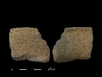 藏品(陶片)的圖片