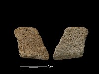 藏品(陶片)的圖片