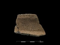 藏品(陶片)的圖片