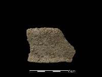 藏品(陶片)的圖片